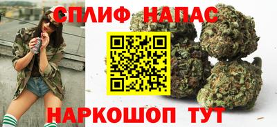 гашик Волжский