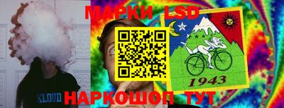 гашик Волжский