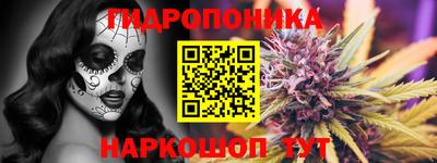 гашик Волжский