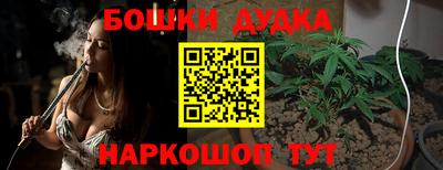 гашик Волжский