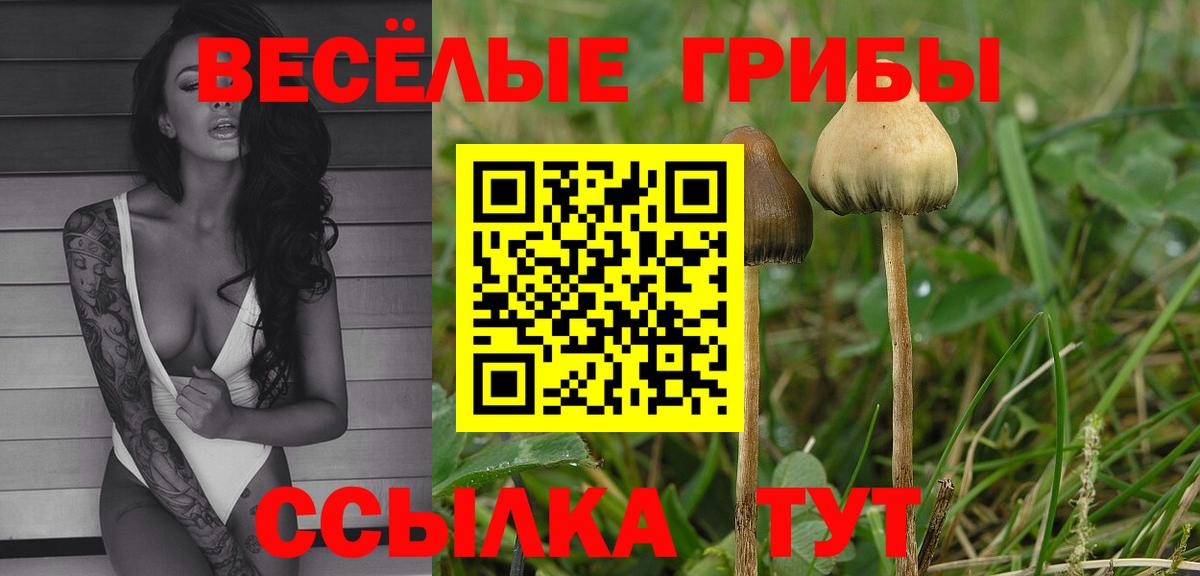 Псилоцибиновые грибы Magic Shrooms  Псилоцибиновые грибы Psilocybe  купить наркотики цена  Вход с VPN  Бахчисарай 